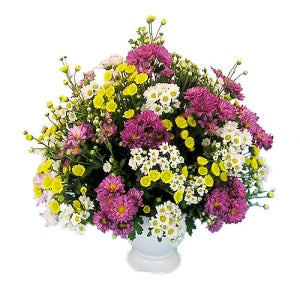 소국화병(OW-6116)[꽃바구니/이벤트/생일/어버이날꽃]