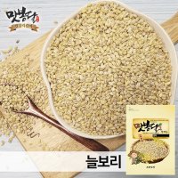 2023년 늘보리쌀 보리쌀 옛날보리쌀 국내산 1kg