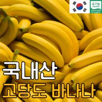 국산 유기농 바나나 1.5KG 국내산 고당도 산청 바나나