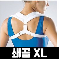 LP901 쇄골 보호대 서포트 재활 의료용 XL 재활기구 재활의료기