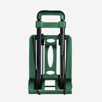 스타벅스 서머 데이 폴딩 카트 서머 그린 Starbucks Summer Day Folding Cart Summer Green