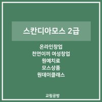 스칸디아모스 2급 과정 모스창업 온라인창업 천연이끼 여성창업 원예치료 원데이클래스