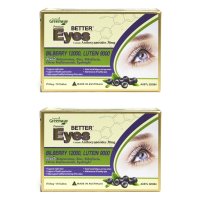 네이처 그린웨이 프리미엄 빌베리 30정 2팩 Nature’s Greenway Premium better eyes Bilberry 12000