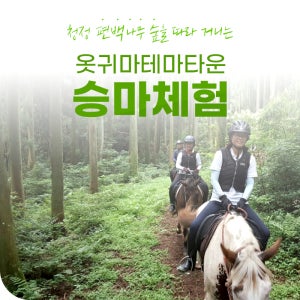 [승마체험] 제주의 청정 숲과 함께하는 승마체험 옷귀마테마타운