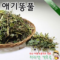 100%국내산 자연산 애기똥풀(특품) 300g 백굴채 효능 효과 말린 건조 야생