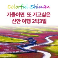 [섬여행/전남/슬로시티신안]와서 보라 보라섬~순례자의 섬 섬티아고, 유네스코 자연유산 증도(신안 3색섬 이야기)여유로운 2박3일 해수테라피 90분포함! 매끼가 특식,리무진