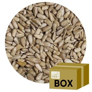 해바라기씨 10KG