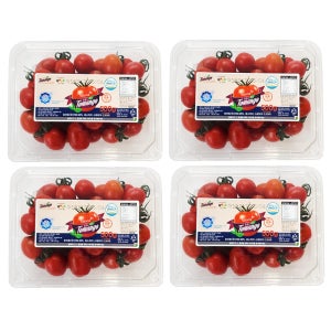 생생스토리 스테비아 대추 방울 토마토 토망고 500gX4팩
