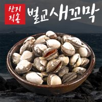 벌교 제철 꼬막 새꼬막 1kg 4박스