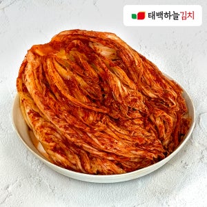 [당일제조] 태백하늘 포기김치 10kg, 1개