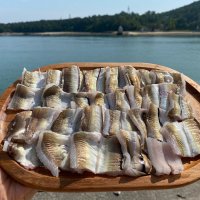 국내산 갯장어 1kg 2-4미 하모샤브샤브 하모회 (육수뼈) 바다장어 붕장어 명절 추석