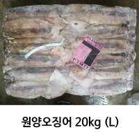 [영일수산]원양오징어 20kg(L)