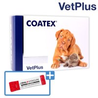 벳플러스 코텍스 블리스터 60캡슐 강아지 고양이 공용 오메가3 콧물 피부질환 모질 개선 영양제 보조제