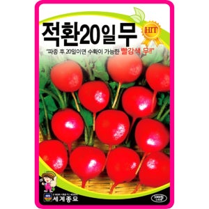 적환20일무 1000립 / 무우씨 씨앗 종자 가을 김장 텃밭 적환무 빨간무 radish