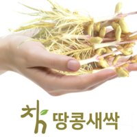 국산 새싹땅콩 차 레스베라트롤 건채 100g