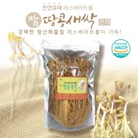 강력한항산화 건채 땅콩새싹 새싹땅콩 레스베라트롤 슈퍼푸드 100g