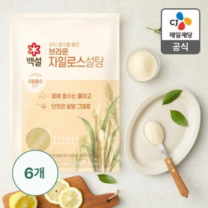 백설 브라운 자일로스 2kg, 6개