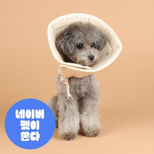 [개놀자] 오가닉 펜타곤 넥카라 강아지 고양이 목쿠션 중성화넥카라 도트 S