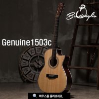 Bentivoglio Genuine1503c 벤티볼리오 어쿠스틱 통기타