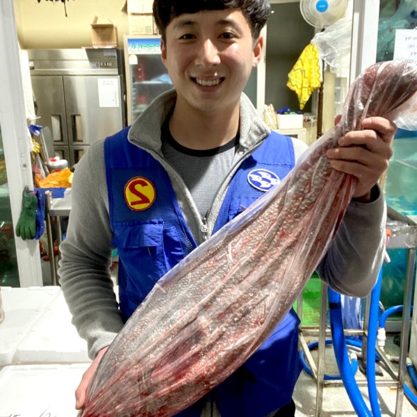 신안 임자도 민어 3kg 4kg 5kg 6kg 7kg 8kg 자연산 민어회 민어전