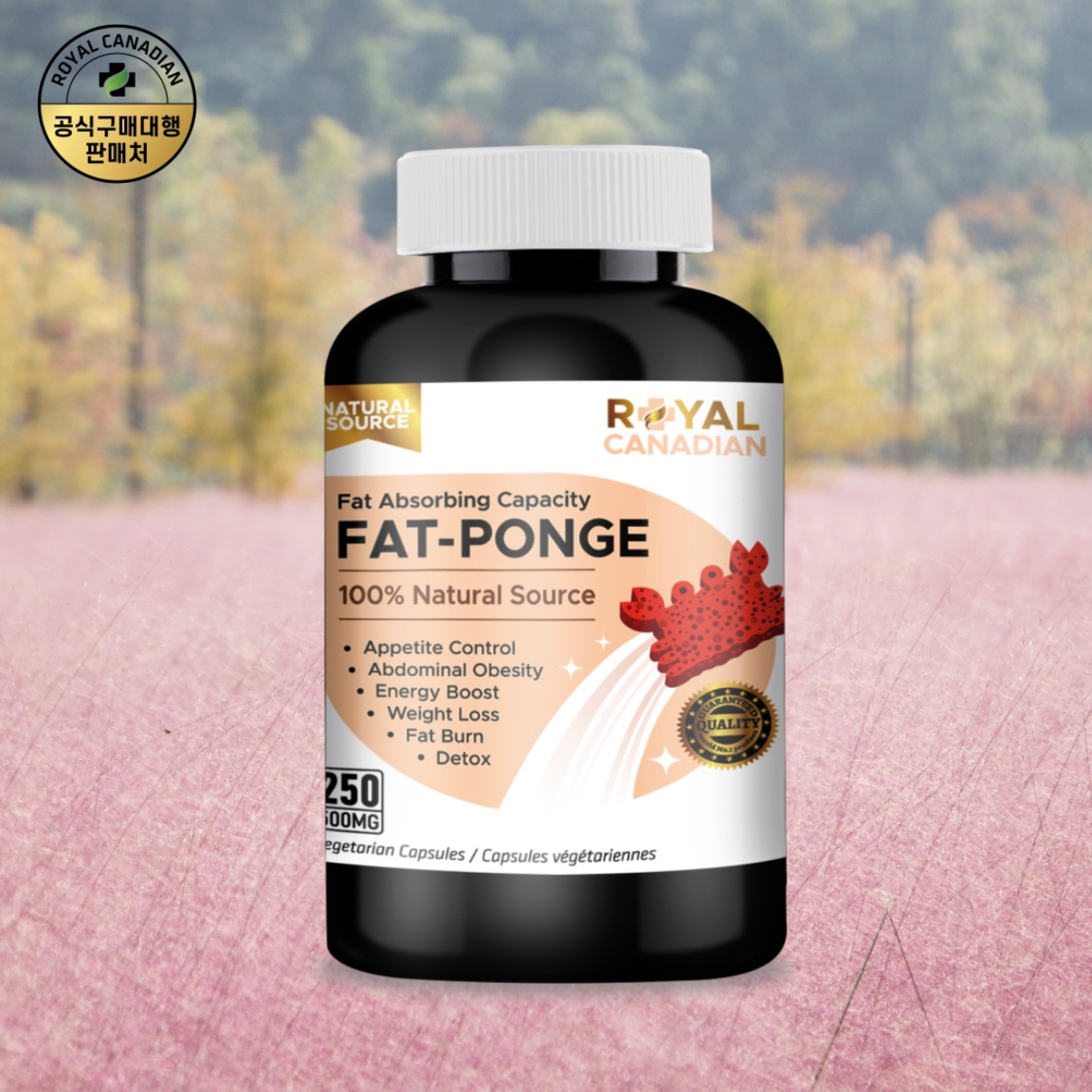 로얄캐네디언 <b>팻폰지</b> 250캡슐, 1개