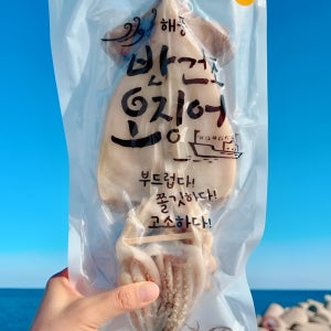 으뜸 반건조오징어 5마리 피데기 / 마른오징어 3마리 특대 건