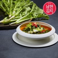 제주김치 남현 프리미엄 열무얼갈이물김치5kg