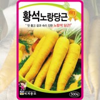 노랑당근 씨앗 500립 / 당근 종자 텃밭키우기 yellow carrot seed