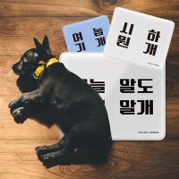 브리더 쿨매트 애견 강아지 고양이 쿨매트 M