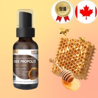 로얄캐네디언 캐나다 비프로폴리스 스프레이 30ml BEE PROPOLIS