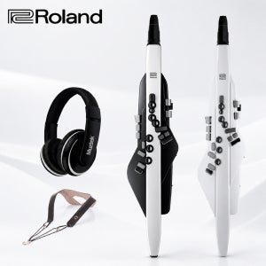 롤랜드 AE20 에어로폰 전자색소폰 정식수입품 ROLAND AE-20
