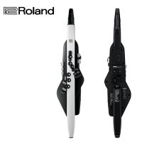 롤랜드 AE20 에어로폰 전자색소폰 정식수입품 ROLAND AE 20