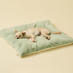 아르르 꿀잠이불 사계절용 극세사 냉감 양면 강아지 고양이 쿠션