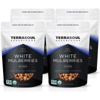 Terrasoul Superfoods White Mulberries 미국 테라소울 선드라이 화이트 멀버리 오디 454g 4팩