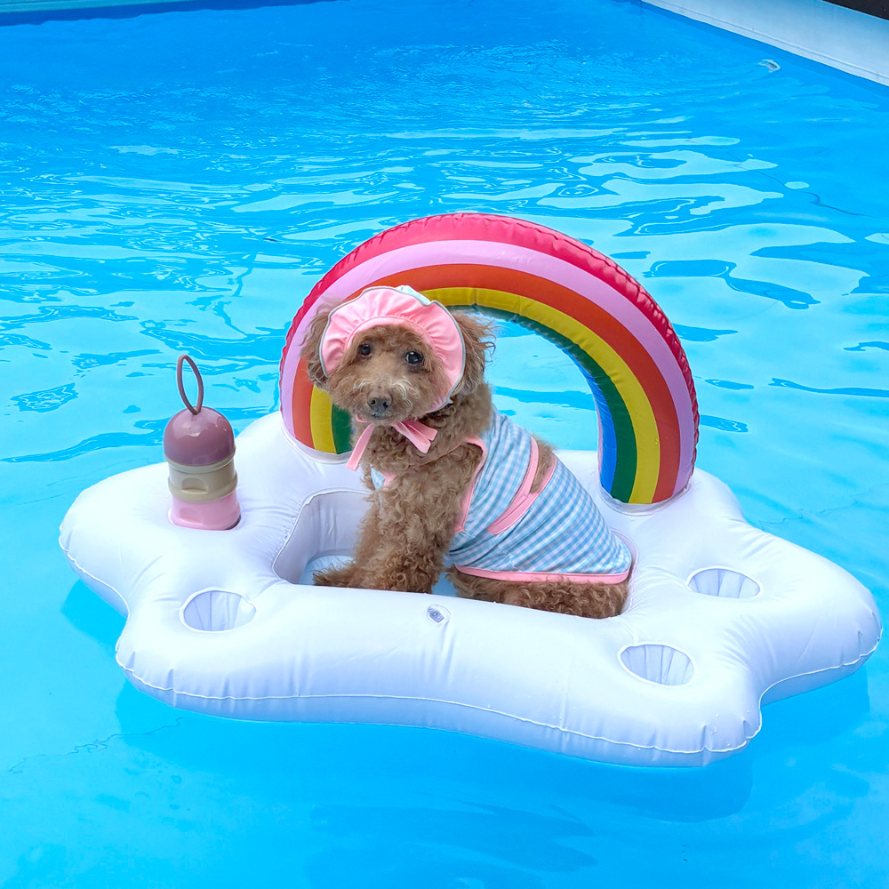 강아지 튜브 무지개 화이트 물놀이 애견 튜브 수영 용품