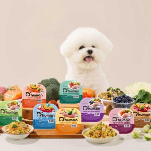 [라운지전용] 듀먼 자연화식 70팩 50g 맞춤세트