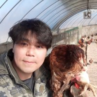 한국인의 밥상이 인정한 계룡산 토종닭(생닭 1.8kg내외) 백숙재료 육수용 닭발 무료 제공