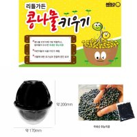 콩나물키트 콩나물키우기 재배 기르기 실험 KIT 식물재배기