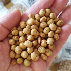 파주 장단콩으로 만든 씹을수록 고소한 백태볶음 100g x 2