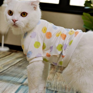 아리캣 고양이 옷 오가닉 순면 반팔 티셔츠 털관리 실내복