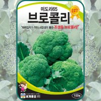 브로콜리 씨앗 100립 / 샐러드 채소 broccoli cauliflower seed