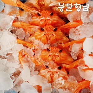 국내산 자숙 홍게 3kg (박달형) 9미내외