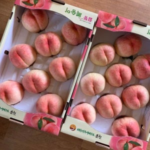 순천 월등 복숭아 4kg 딱딱이 말랑이 백도 황도