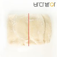 대왕오징어(무라사키) 몸통/몸살 [절단상품 10kg] 업소용