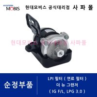 현대 순정 LPI 필터 어셈블리 - 그랜저 6세대 IG F/L LPG 3.0 ( 더 뉴 그랜져 LPG 연료 필터, 33095C1000, 33095 C1000 )