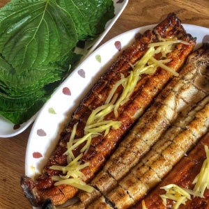 국산 자포니카 풍천장어 1kg 초벌장어 기절초풍천장어 고창현지인 맛집