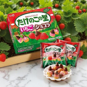 메이지 타케노코노사토 죽순마을 딸기 쇼콜라 61g 일본 초코송이