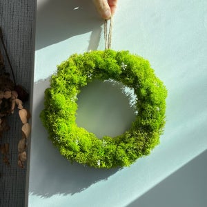 천연이끼 스칸디아모스 미니리스 홈데코 선물용 장식용 인테리어 소품 실내식물