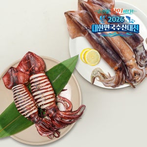 국산 급랭 채낚기 오징어 3마리 통찜 오징어, 초코 오징어 (마리당 180-220g)