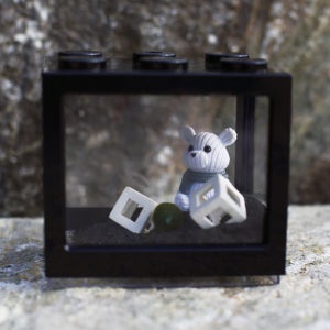 [가정의달선물] 곰돌이 눈맞춤 마리모 키우기 세트